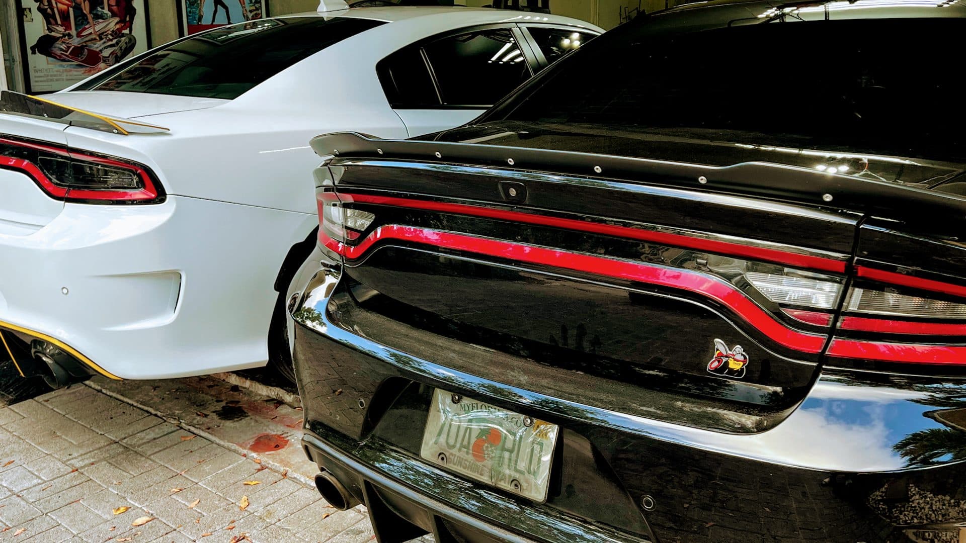 Paint Color Matching